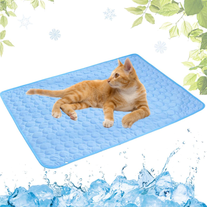 Protege a tu gato del calor extremo con la alfombrilla Zarpa™.